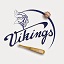 logo_vikings_mini